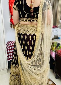 Wine Color Velvet Lehanga-choli