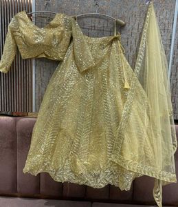 Stunning Sequin Lehenga Choli Set