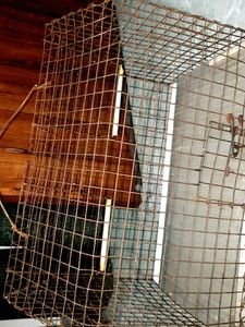 Vintage Wire Animal Cage