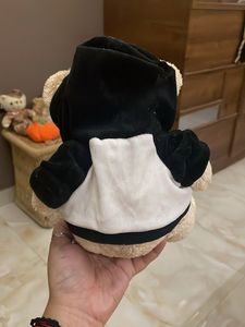 Cute Teddy Bear with Hoodie