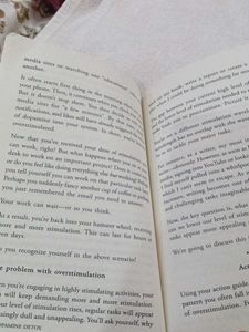 Dopamine Detox Book