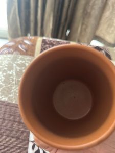 Combo of 2- Mugs and Kulhar Cup