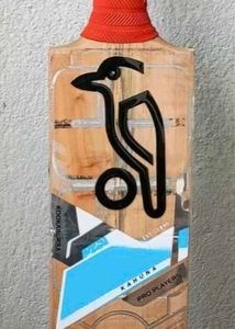 cricket bat
