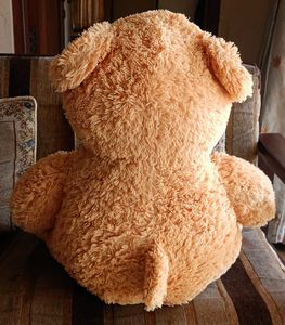 Giant Teddy Bear