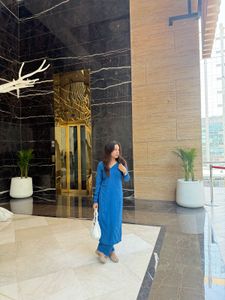 Elegant Blue Long Sleeve Dress