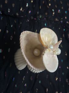 original Seashell Pearl jewellery organiser