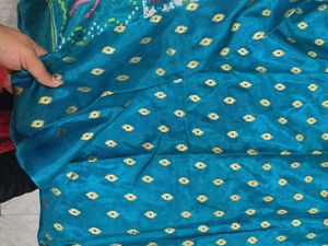 Beautifully Designed Saree