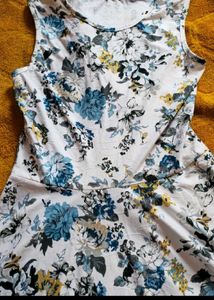 Floral Print Sleeveless Dress