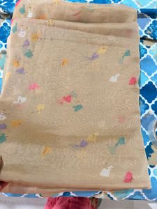 Sheer Floral Print Saree