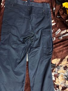 Stylish Navy Cargo Pants