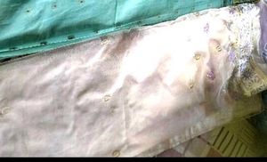 Elegant Embroidered Organza Saree