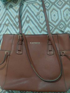 Caprese Handbag