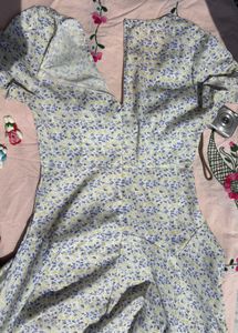 Cute Floral Print Mini Dress