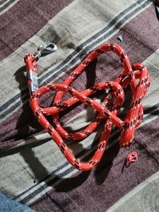 Red Rope Dog Leash