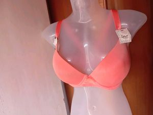 Coral Padded Underwire Bra