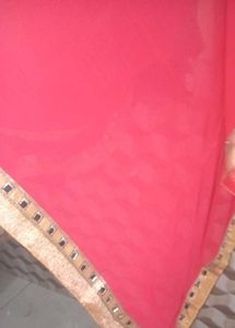 Pink Saree with Mirror Work Border