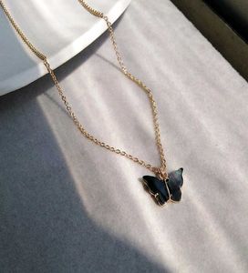 Black Gift Pack🖤