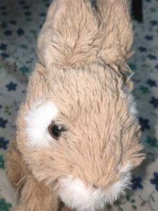 combo Cute Plush Bunny Toy(12cm) and baby hippo