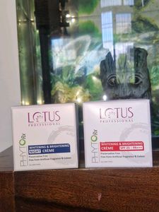 Lotus Professional Day Night Cream Combo