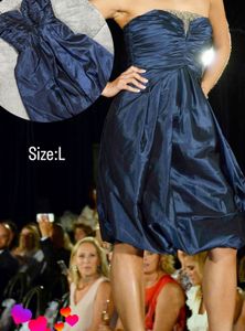 Blue Embellished Silk Baloon Dress
