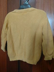 Cute Lion Print Sweater