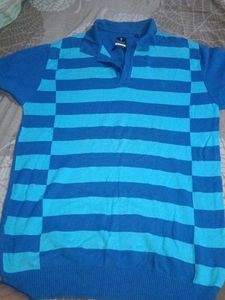 Men's Blue Striped Polo Shirt