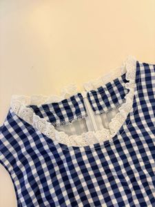 Savana Blue Gingham Dress(🚨Fixed Price)