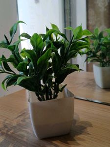 Artificial Plant in White Pot