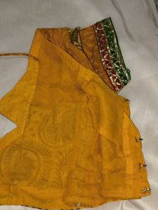 Embellished Brown Net Saree with blouse