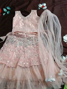 Embellished Blouse With Lehenga