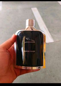 PACK OF 6