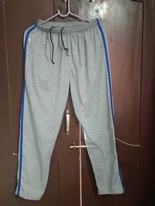 Gray Athletic Track Pants with Blue Stripes