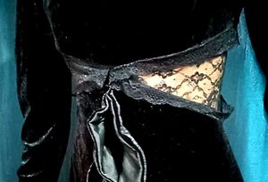 black Goth Velvet Lace Dress