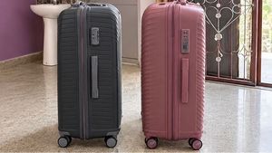 Set of 2 Stylish Luggage Bags