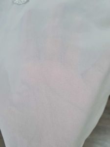 Sheer Lace Blouse