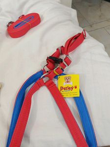 Petley Dog Body Cross Belt