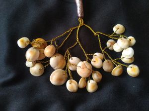 Unique Shell Necklace &amp; Earring Set