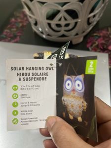 Owl Decor