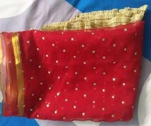 Stunning Red Saree with Gold Embellishments