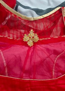 Red Silk Blouse with Net Sleeves