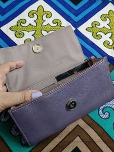 baggit  Wallet sling bag