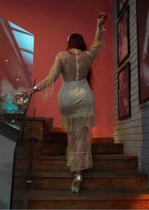 Soft Net Sequin Party Dress