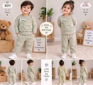 Cute Dinosaur Tracksuit Set