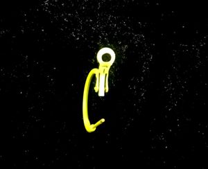 Neon Yellow and Blue Hoop Earrings.