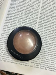 Bronzer/Highlighter Makeup
