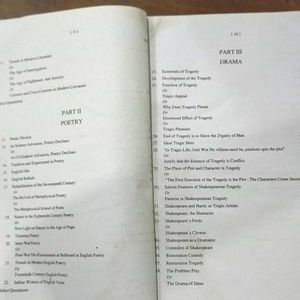Quintessence of Literary Essays by W.R. Goodman