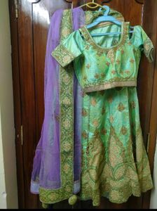 Stunning Mint Green Embroidered Lehenga Choli