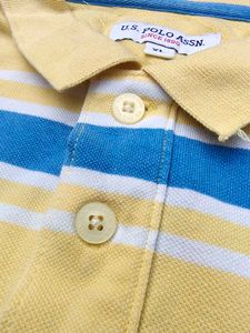 U.S.P.A Striped Polo T-Shirt