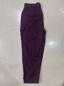 GAP Burgundy Cargo Pants