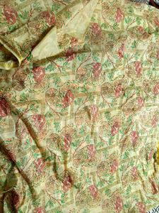 Organza Saree